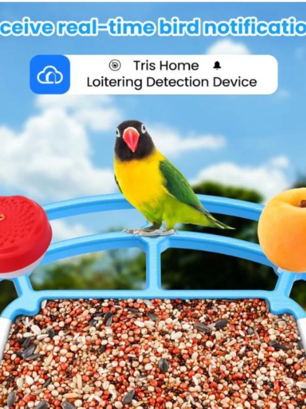 NIB: Wishbetty Smart Bird Feeder with AI Camera & Solar Power